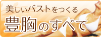 バストアップ・豊胸のすべて